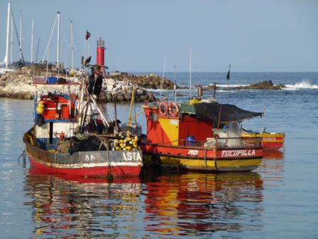 Port d Antofagasta B.JPG